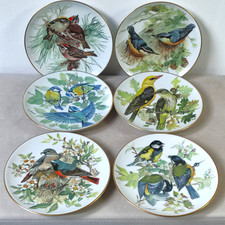 Tirschenreuth Bradex Bird