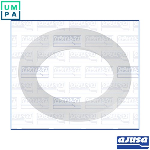 Seal ring oil - seal, drain