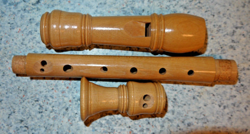 Mint recorder soprano - recorder, c