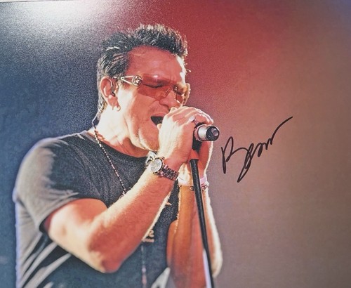 Bono original 10x8 - bono,