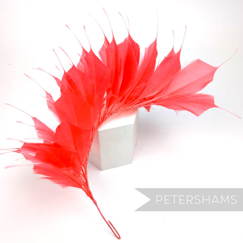 Large spiky goose feather - large,