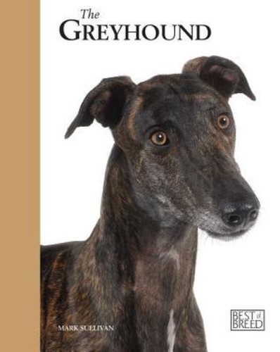 The retired racing greyhound - retired,