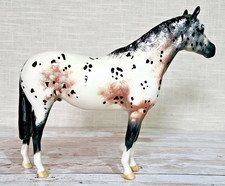 Beswick Appaloosa Stallion Beautiful Rare Vintage Gloss Model No. 1772 Vgc