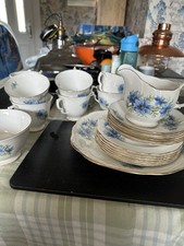 18pc Queen Anne Ridgways 5 Person Tea Set ICE BLUE ROSES c1960/70s