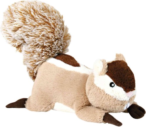 Plush squeaky squirrel - squirrel, dog