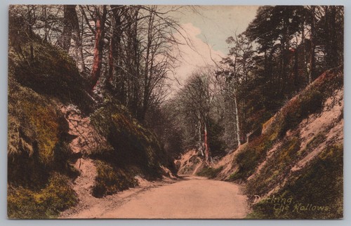 Postcard dorking the hollows - postcard,