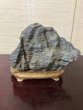 Japanese Suiseki Bonsai