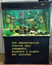 Fish Tank / Aquarium and Cabinet 272 Litre