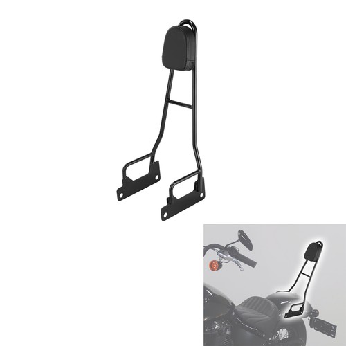 Sissy bar rear passenger - bar,