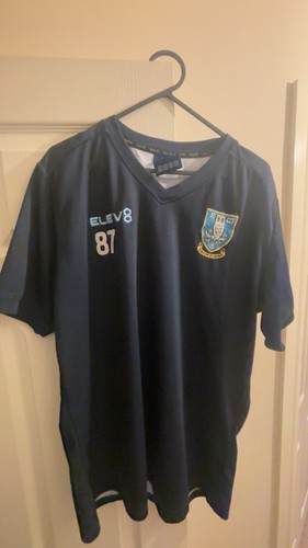 Sheffield wednesday training - sheffield,