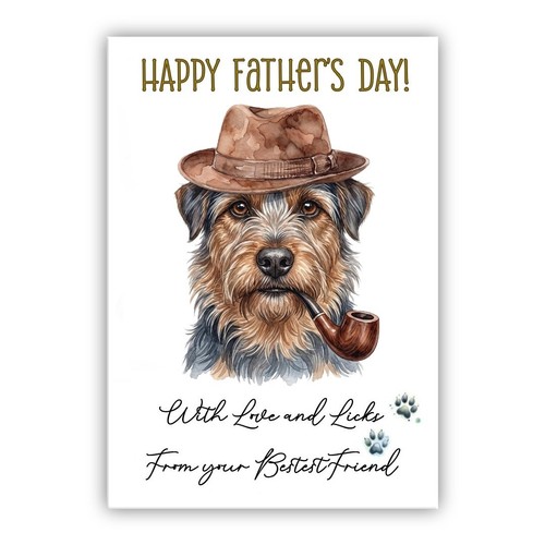 Australian terrier father - australian, father’s