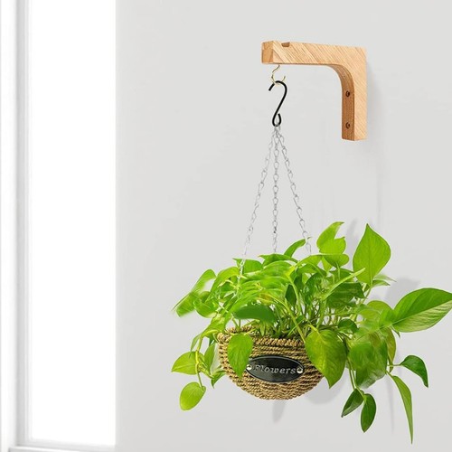 Hanging plant hook - plant,