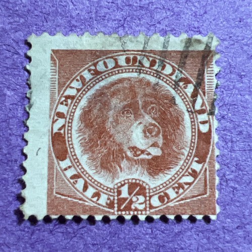 Newfoundland 1896 used scott - newfoundland,