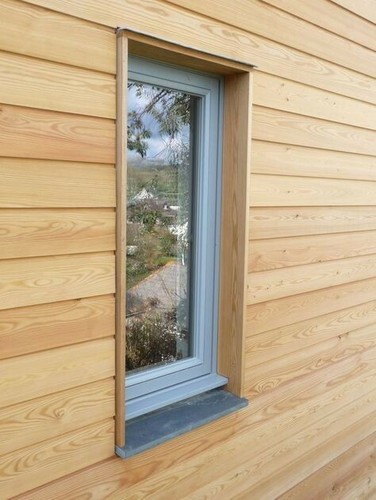 New profile siberian larch - new,