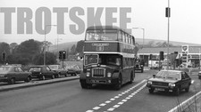 35mm Black and White Negative