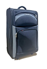 DELSEY PARIS AXIAL 2-ROLLEN