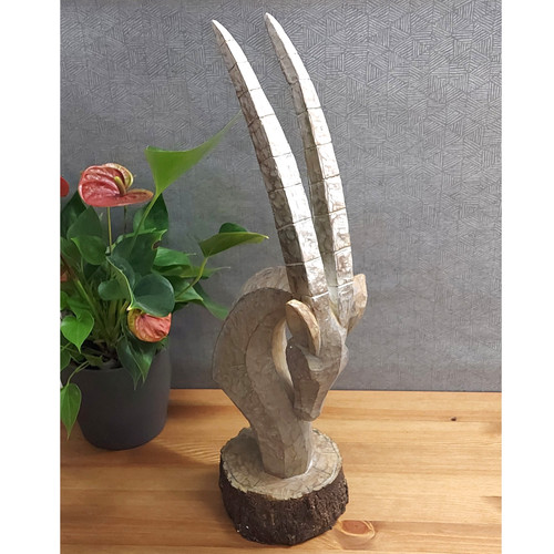 Unusual oryx head indoor - "oryx, head"