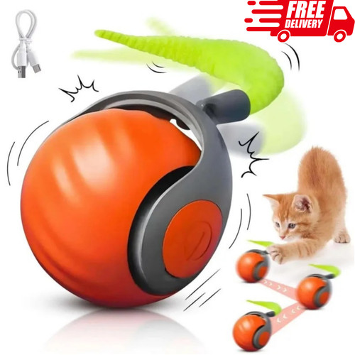 Speedy tail interactive - 2.0,