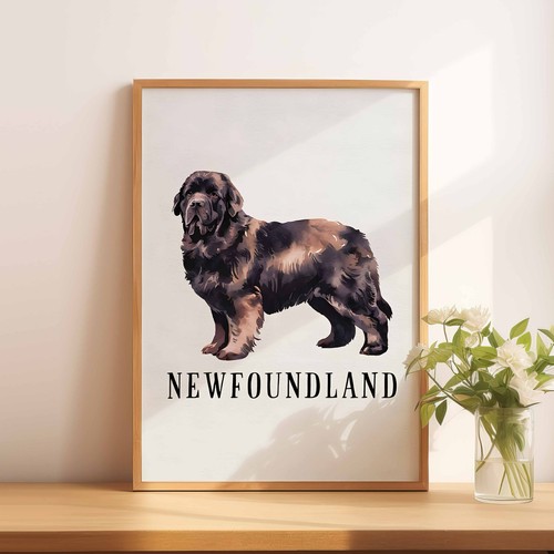Newfoundland dog wall - a4, a5