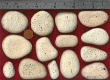 14 UK North Sea Beach pottery pebbles 1.16 kg Dunbar Scotland Beige neutral art