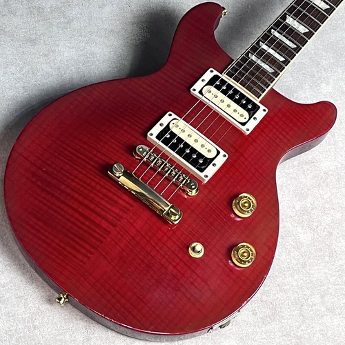 Gibson les paul - les,