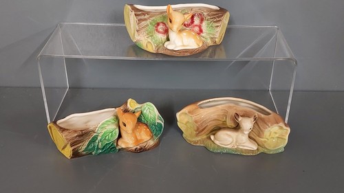 Hornsea fauna animal from - hornsea,