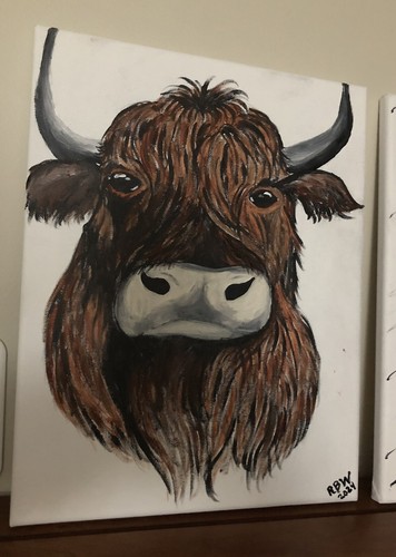 Hand painted highland - painted, cow