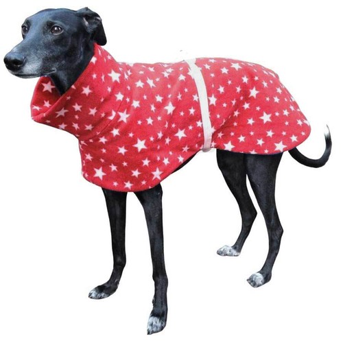 Greyhound lurcher whippet - greyhound,