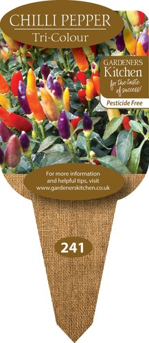 Chilli plants tri - chilli,