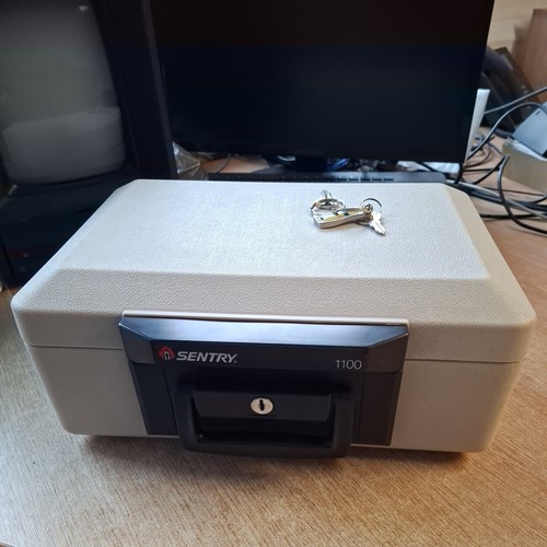 Sentry 1100 portable fire - portable,
