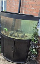 Juwel Trigon 190 Corner Fish Tank