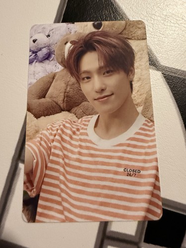 Official seventeen dino dicon - official,