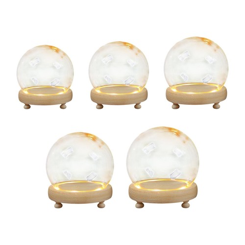 Display dome with wood base - display,
