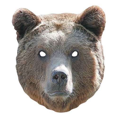 Bear animal cardboard face - bear,
