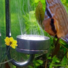 Polished Stainless Steel