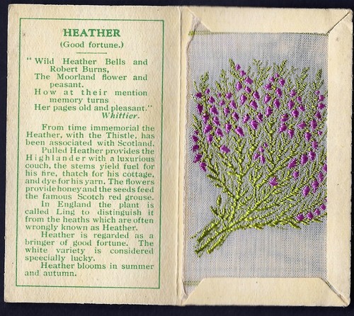 Wix kensitas flowers - wix, (j)