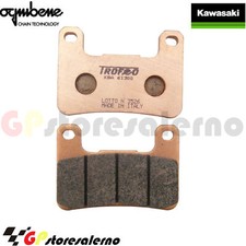 43028901 SINTERED PADS ANT