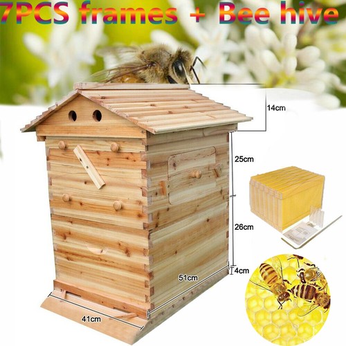 Wooden beekeeping bee hive - bee,