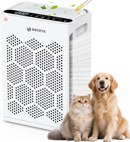 Air purifiers for - air,