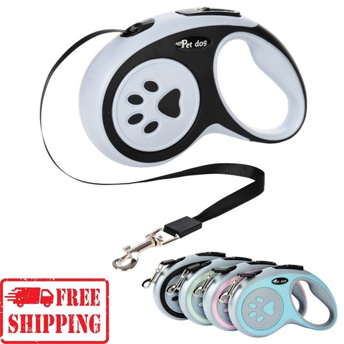 Retractable dog lead - dog,