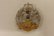 MILITARY BADGE THE ROYAL HAMPSHIRE REGIMENT 4.75CM X 4.5CM (3196)