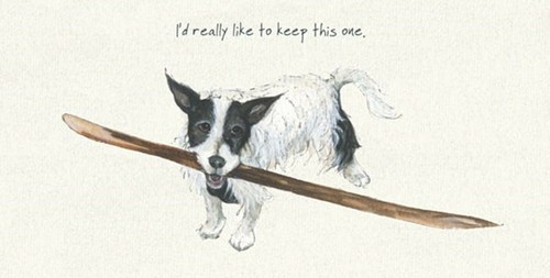 Rough coated jack - rough, russell