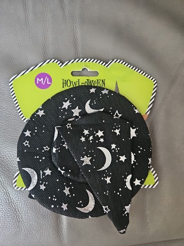 Spooky pet witch hat - witch, with