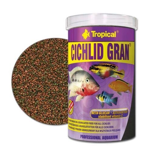 Tropical cichlid gran top - gran,,