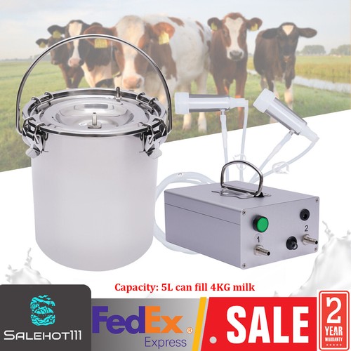 Portable electric dual head - electric,