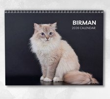 Birman Cat Calendar 2026: Monthly Wall Calendar with Notes, opens to A3 Size