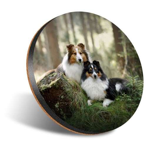 Round 12cm coaster - round,