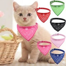 Collar for Puppy Kitten Dog