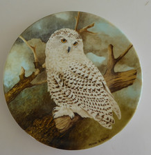 Snowy Owl Coalport Decorative Plate