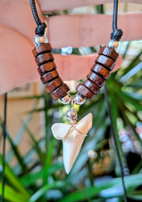 Large 2.5cm/1" Real Shark